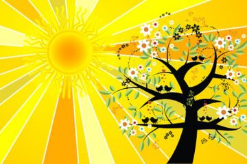 Recevoir les Énergies du Solstice