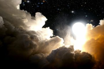 Chacun perçoit son monde à travers sa propre illusion Chacun perçoit son monde à travers sa propre illusion