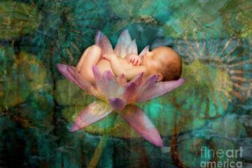 Le vrai Noël n’est pas la naissance de l’unique fils de Dieu, mais plutôt la naissance de la conscience du Christ en chacun de nous Le vrai Noël n’est pas la naissance de l’unique fils de Dieu, mais plutôt la naissance de la conscience du Christ en chacun de nous