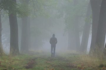 CE QUI SE PASSE ET CE QUI NE SE PASSE PAS DANS VOTRE MONDE – Le Conseil CE QUI SE PASSE ET CE QUI NE SE PASSE PAS DANS VOTRE MONDE – Le Conseil