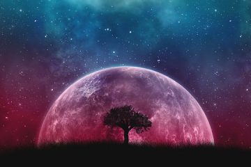 LUMIÈRE SUR LA TERRE