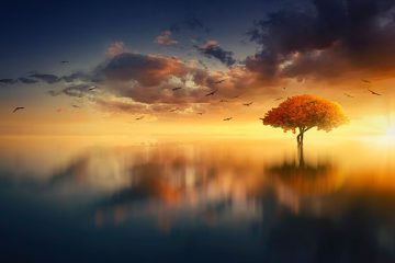 La magie est une CONNAISSANCE que nous avons, c’est une étincelle, un frisson, une excitation…