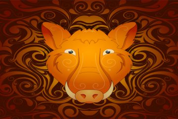 Astrologie chinoise 2019, l’année du cochon de terre brune – voici votre horoscope