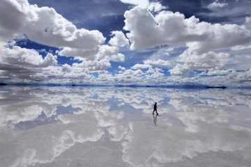 PENSÉE DU JOUR