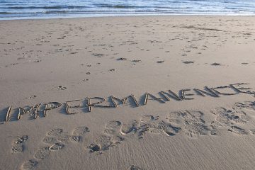 PENSÉE DU JOUR
