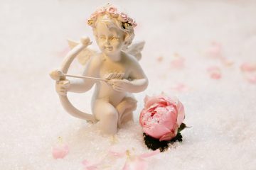 FIXONS LA VICTOIRE DE L’AMOUR PUR