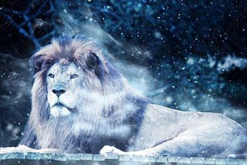 Le 21 janvier, la pleine lune se lèvera sous le signe du Lion le sociable et le confiant
