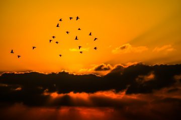 Réalisons le changement que nous souhaitons vivre en 2019 Réalisons le changement que nous souhaitons vivre en 2019