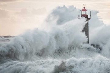 NOUS SOMMES BIEN CONSCIENTS DE LA LUTTE QUE VOUS VIVEZ EN CES TEMPS DE NÉGATIVITÉ INTENSE NOUS SOMMES BIEN CONSCIENTS DE LA LUTTE QUE VOUS VIVEZ EN CES TEMPS DE NÉGATIVITÉ INTENSE