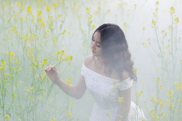 PENSÉE DU JOUR