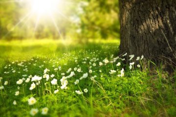 Bulletin spécial Printemps 2019 : plus d’amour dans votre vie !