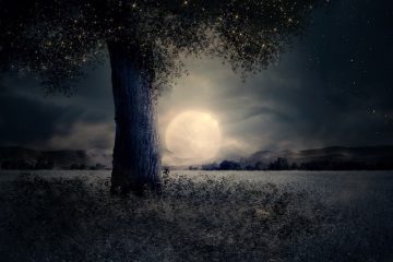 Pleine Lune du 19 avril 2019 : ses effets sur votre signe astrologique