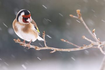 Plus nous continuons à faire des recherches, moins nous découvrirons la vérité… Plus nous continuons à faire des recherches, moins nous découvrirons la vérité…
