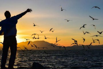 LE GRAND SAUT EST DE PASSER DU CONDITIONNEMENT À LA LIBERTÉ LE GRAND SAUT EST DE PASSER DU CONDITIONNEMENT À LA LIBERTÉ