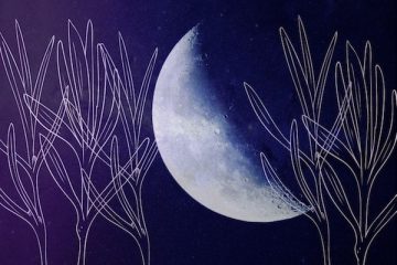 Les énergies astrologiques de la Nouvelle Lune du 3 juin 2019 et de l’Ascension… Les énergies astrologiques de la Nouvelle Lune du 3 juin 2019 et de l’Ascension…