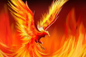 LE RÉVEIL DU PHOENIX – Ce mois de mai se termine avec un phénomène très particulier…