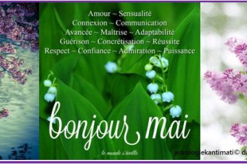 Bulletin MétéoAstro© du 4 mai 2019 Bulletin MétéoAstro© du 4 mai 2019