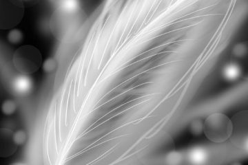 LES DIFFÉRENTS MESSAGES SILENCIEUX D’UN ANGE GARDIEN