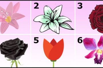 La fleur que vous choisissez révèle un secret sur votre personnalité La fleur que vous choisissez révèle un secret sur votre personnalité