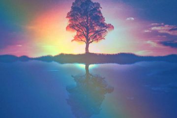 DEPUIS LE SOLSTICE D’ÉTÉ, NOUS SOMMES SUR LA NOUVELLE TERRE ! DEPUIS LE SOLSTICE D’ÉTÉ, NOUS SOMMES SUR LA NOUVELLE TERRE !