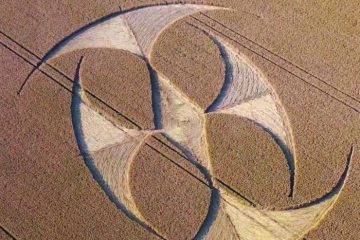 CROP CIRCLE DU 16 JUILLET AU NORD DE LA FRANCE