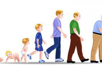 Comprendre les cycles de la vie de 7 ans