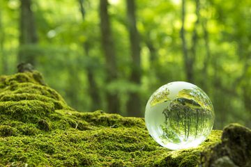 LES TRAVAILLEURS DE LUMIÈRE SONT TRÈS FATIGUÉS… LES TRAVAILLEURS DE LUMIÈRE SONT TRÈS FATIGUÉS…
