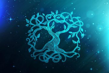QUEL EST VOTRE SIGNE ASTROLOGIQUE CELTIQUE ? QUEL EST VOTRE SIGNE ASTROLOGIQUE CELTIQUE ?