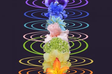 Utiliser des fleurs pour améliorer le flux d’énergie des chakras