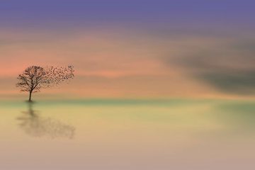 Tout ce sur quoi on se construit finit par se noyer dans ce silence Tout ce sur quoi on se construit finit par se noyer dans ce silence