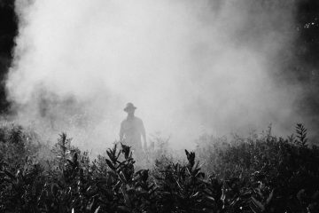 Quand une entité vient perturber ta vie – Que peux-tu mettre en place ?…