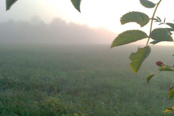 LE JOUR APRES LA NUIT 3/3