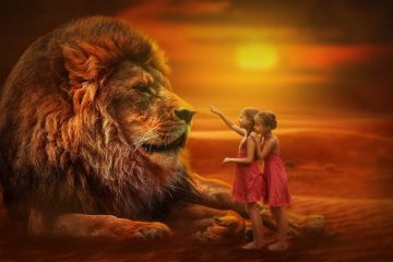 LIONS : GARDIENS DE LA GALAXIE