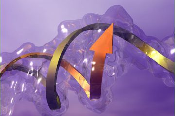 Comprendre la conscience et l’ADN d’une manière “TOTALEMENT NOUVELLE”