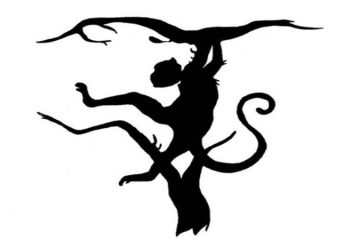 Que voyez-vous en premier sur la photo: un tigre ou un singe? La réponse sera révélatrice!