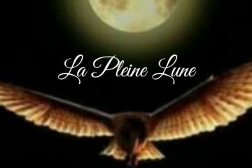 LA PLEINE LUNE DU 14 SEPTEMBRE 2019 selon MAUD