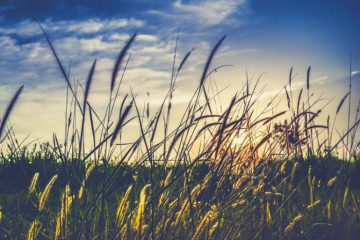METEO ENERGETIQUE – observer sans s’engager