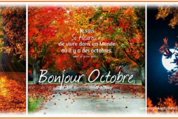 Octobre : les grands nettoyages et “les coups de balai” se poursuivent… direction 2020 !