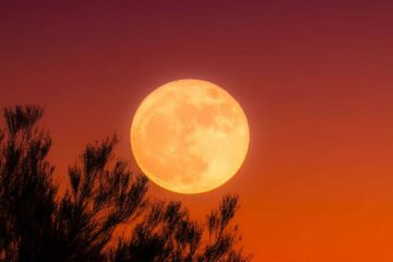 LA PLEINE LUNE DU 13 OCTOBRE – Agitations, changements et prises de décisions LA PLEINE LUNE DU 13 OCTOBRE – Agitations, changements et prises de décisions