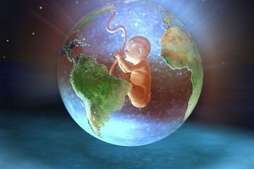 VOTRE LIEN AVEC LA TERRE