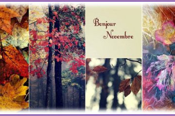 Novembre : au milieu des tempêtes, un peu de répit et une lueur d’espoir Novembre : au milieu des tempêtes, un peu de répit et une lueur d’espoir