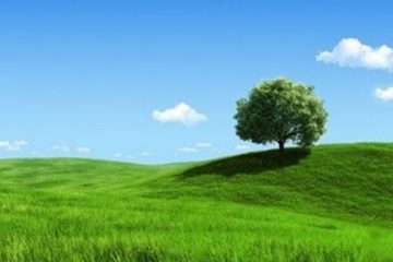 PENSÉE DU JOUR