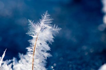 PRÉVISIONS ASTROLOGIQUES DE DÉCEMBRE 2019