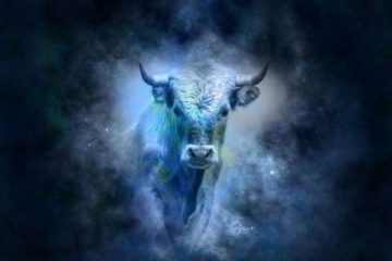 PLEINE LUNE DU 12/11/2019 : Il est grand temps de se réapproprier le terme H U M A I N PLEINE LUNE DU 12/11/2019 : Il est grand temps de se réapproprier le terme H U M A I N