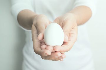 LES ÉNERGIES ASCENSIONNELLES DE DÉCEMBRE 2019 – Votre vulnérabilité est votre plus grande force