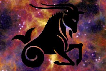 LE CAPRICORNE, UN SIGNE BIEN PLUS PROFOND QU’IL N’Y PARAÎT