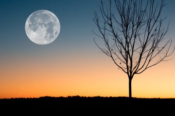 NOUVELLE LUNE DU 24 JANVIER 2020 : Folles sautes d’humeur NOUVELLE LUNE DU 24 JANVIER 2020 : Folles sautes d’humeur