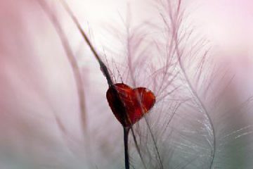 AIMER OU AVOIR PEUR ?