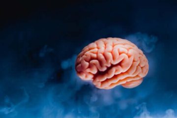 VOS FONCTIONS MENTALES SUPÉRIEURES VOS FONCTIONS MENTALES SUPÉRIEURES