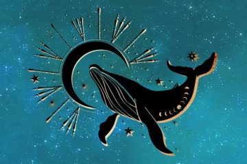 TANAAZ – LA NOUVELLE LUNE DE FÉVRIER 2020